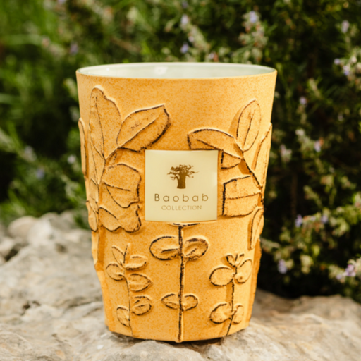 Baobab Collection Folia Garrigue Max 16 Geurkaars 150 Branduren