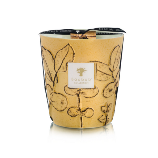 Baobab Collection Folia Garrigue Max 16 Geurkaars 150 Branduren
