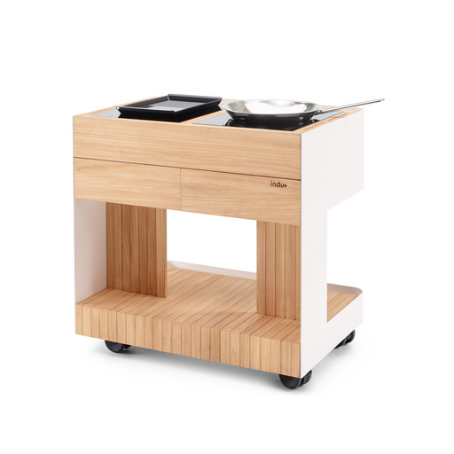 Indu+ Intas Trolley Wit