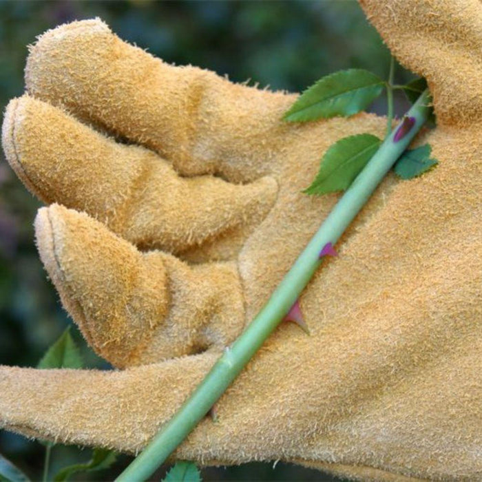 Rostaing Handschoenen Pro Roncier 10