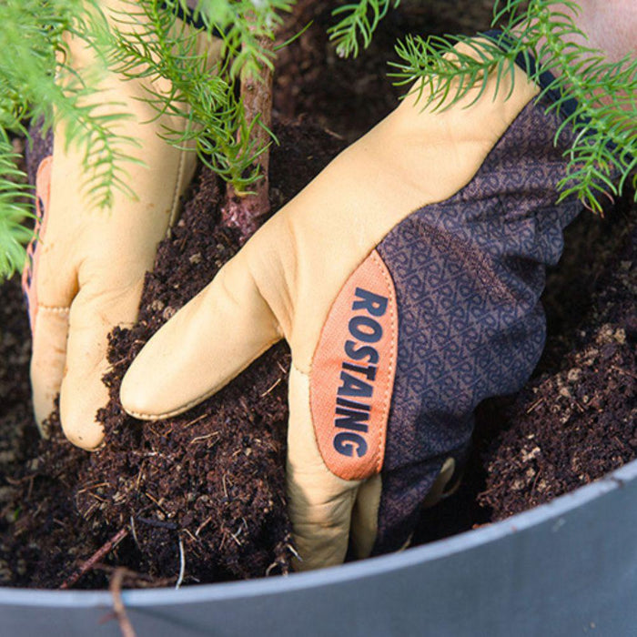 Rostaing Handschoenen Pro Sequoia 8