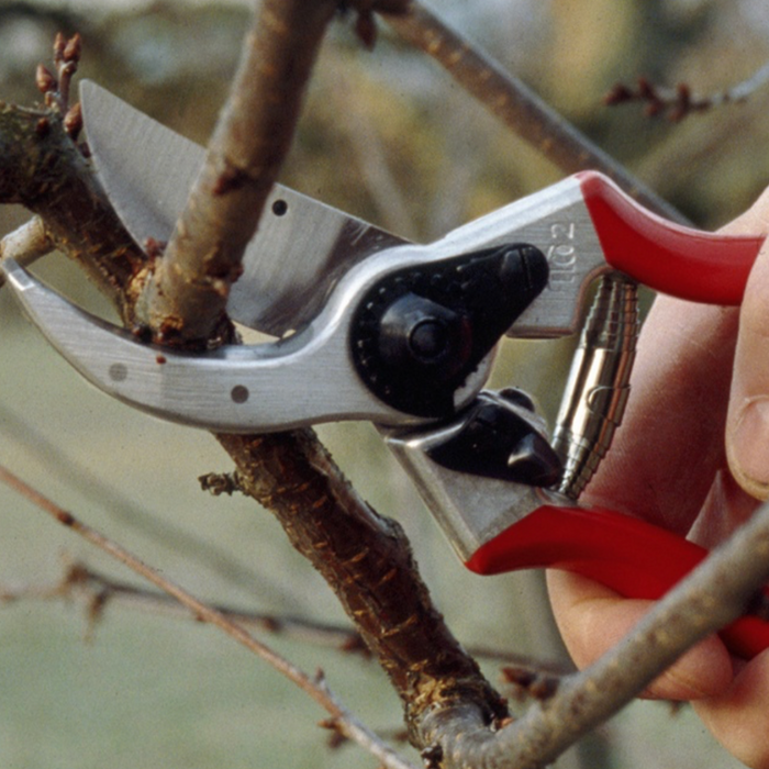 Felco 2 Snoeischaar Rechtshandig