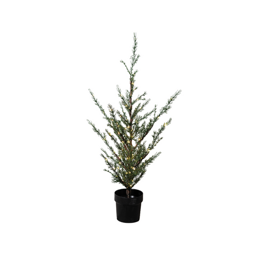 Sirius Milas Ceder Kerstboom H100cm